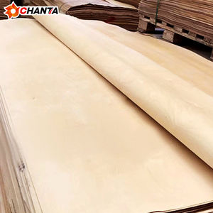 Оптовая продажа, белая русская Березовая фанера 500000 м2 0,4 мм 1 мм - Product Image 2