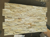 Pierre blanche de culture de revêtements de mur de panneau de pierre de quartzite de Yellowwish décoratif