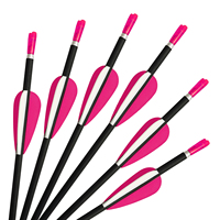 Flèches en fibre de carbone pour tirer 31 pouces ID 4.2mm colonne vertébrale 350-1500 flèches de chasse pour la pratique
