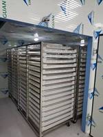 Automatische energiebesparende fruit- en groente warmtepompdroogmachine voor de verwerking van noten, mango's en bananenchips