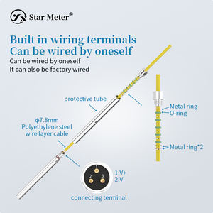 דיוק גבוהה cyw16 תת-mersible מוט פלדה עמוק-סוג גם נוזל מדידה חיישן מדידה - Product Image 2