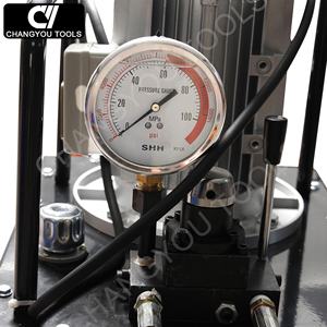 DB300-S2 Auto pompa idraulica a doppio effetto 30L 3.0kw ad alta pressione elettrica con comando interruttore manuale - Product Image 3