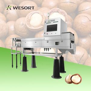 Clasificador de reconocimiento de forma de rayos X de alta capacidad para Wesort, clasificador de color certificado RoHS para Castaño, nuez, macadamia, 2500 kg/h - Product Image 1