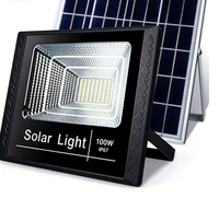 Lampe solaire LED extérieure tout-en-un en forme d'épée avec capteur de mouvement PIR