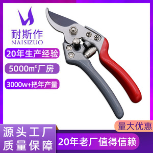 Nice <b>Pruning</b> Shears 6.5 In Stainless Steel Straight Head Garden <b>Tool</b> For Fruit <b>Trees</b> And Orchards - Product Image 5