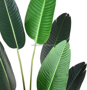 Sıcak satış yeni yapay yeşil kuş cennet ağacı gezgin muz saksı plastik düğün bitki - Product Image 3
