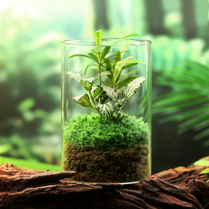 Decoración realista de mesa de té con musgo para sala de estar, estudio interior, adorno de escritorio, fácil de mantener como planta verde, pequeño regalo de cristal - Product Image 5