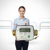 Compteur de chaleur ultrasonique DN15-DN40 avec précision de classe 2, interface de communication M-BUS, certifié CE/MID/CPA/ISO