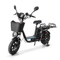 Bicicleta Eléctrica Plegable de 16 Pulgadas, 500w, 800w, 1000w, 48v, 60v, 72v, con Llantas Gruesas, para Adultos