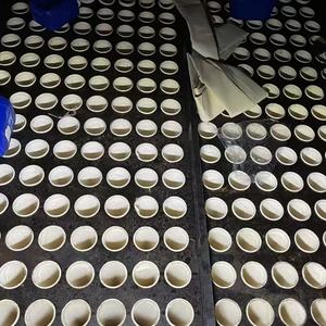 Sacchi Filtranti Plissettati Personalizzati per la Filtrazione di Particelle di Polvere in Varie Industrie come Acciaio e Cemento. - Product Image 6