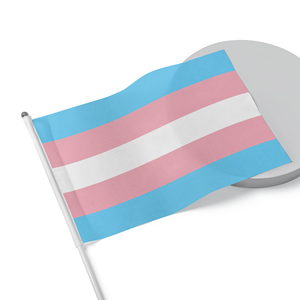 Drapeaux de la fierté transgenre personnalisés en gros, imprimés sur tissu polyester avec votre logo - Product Image 6