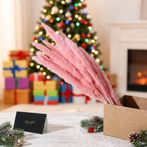 Bestseller: Erba della Pampa Naturale Essiccata Fornita Direttamente dalla Fabbrica, Ideale per Matrimoni, Halloween, Capodanno e Festa della Mamma - Product Image 2