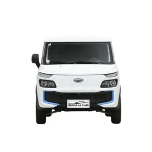 Новый дешевый взрослый электромобиль/мини-фургон/микроавтобус с максимальными автомобилями Kairui Dolphin Ev для продажи Электрический Грузовой мини-фургон высокого качества