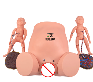 Simulador de Parto y Emergencias Maternas y Neonatales para Entrenamiento de Enfermería, Simulador de Habilidades de Parto - Product Image 6