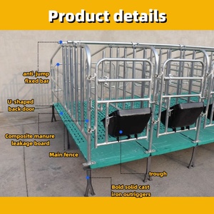 10 Corrales <span class=keywords><strong>de</strong></span> Gestación Jaulas <span class=keywords><strong>de</strong></span> Paridera para Cerdas Granjas Porcinas - Product Image 2