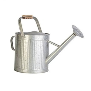 Tuyau d'arrosage en métal solide pour plantes de grande taille, arrosoir de jardin confortable avec Long bec - Product Image 2