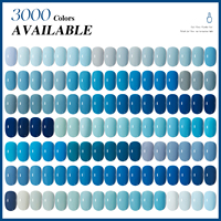 Vendeeni usine OEM/ODM joli vernis à ongles Gel 3000 couleurs mode solide Gel Uv imbiber Non toxique marque personnalisée marque privée
