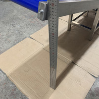 Accessoire pour machine d'emballage verticale, bande transporteuse inclinée en PVC de haute qualité, vitesse réglable, réglage de la hauteur, largeur 20 cm, modèle