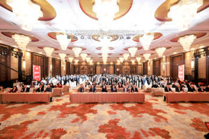 Ventas calientes Servicios de logística DDP Fba Envío Tarifas más baratas Transitario de China a EE. UU. Canadá Entrega rápida - Product Image 2