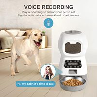 Distributeur automatique de nourriture intelligente pour animaux de compagnie, 3,5 l, pour chats et chiens, minuterie, bol en acier inoxydable, alimentation automatique pour chiens et chats, fournitures pour animaux de compagnie