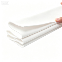 Feuille de PTFE expansé vierge EPTFE, plaque d'étanchéité industrielle flexible, taille personnalisée