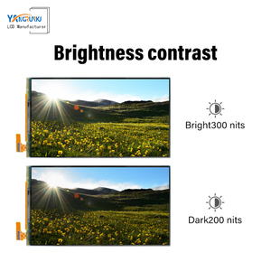 Module complet OLED <span class=keywords><strong>EDO</strong></span> 5.5 pouces IC SH1386 300 Nits luminosité Temps de réponse 2 ms MIPI 30 broches Connecteur - Product Image 5