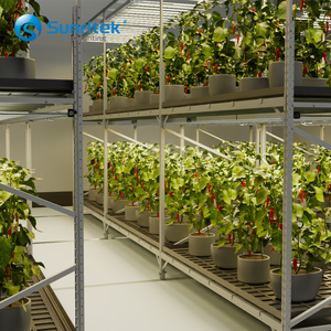 Modern 4x8ft Vertical hydroponic flood tables and trays greenhouse Indoor Grow Rack For agricultural greenhouse