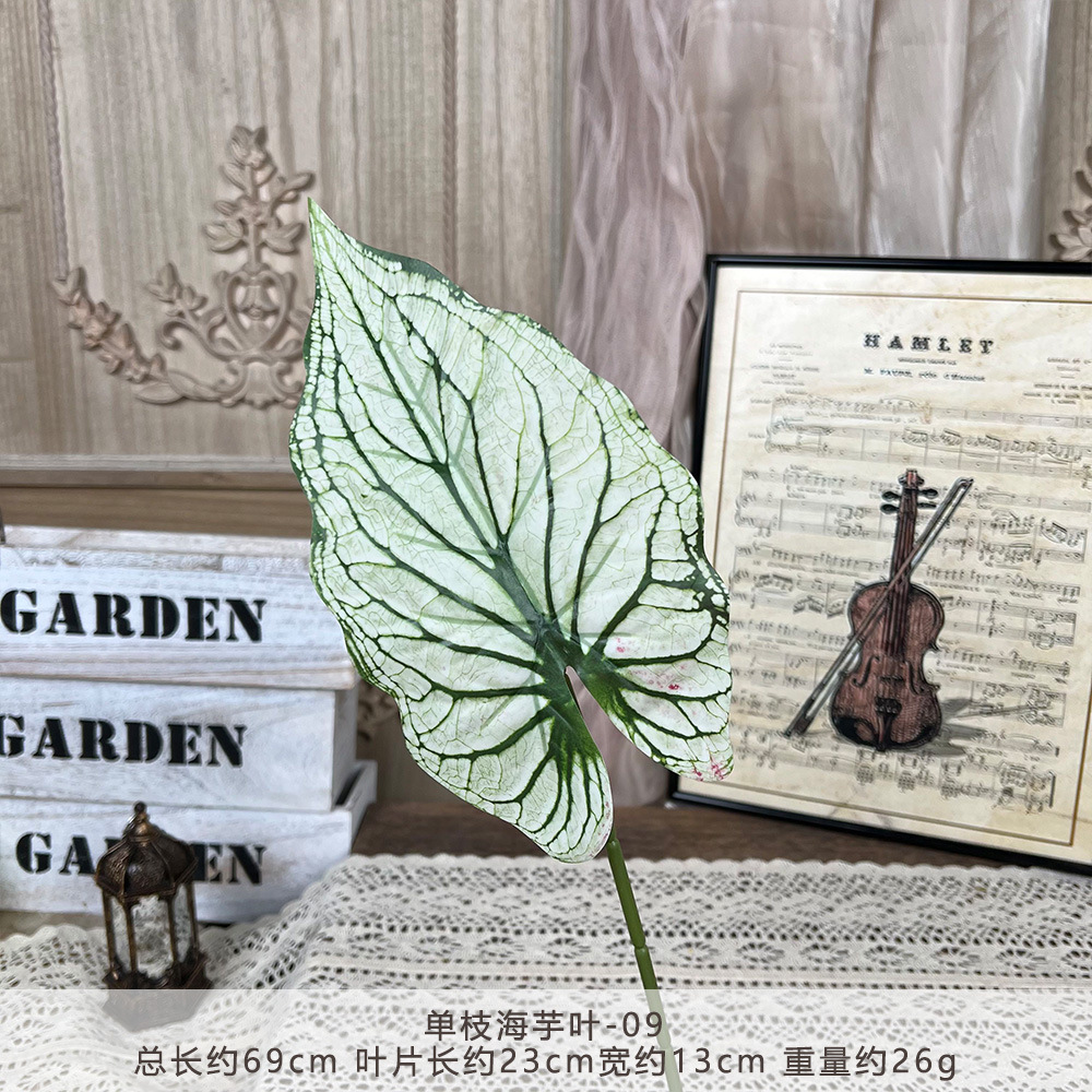 YM2-Single taro leaf-09