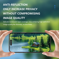 Protection d'écran en verre trempé anti-reflet anti-espion 2.5D 3D de haute qualité pour iPhone 16 15 14 Pro Max