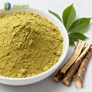 Cung cấp nhà máy tự nhiên aesculi tinh dịch chiết xuất <span class=keywords><strong>aesculus</strong></span> <span class=keywords><strong>chinensis</strong></span> chiết xuất 20% aescin ngựa hạt dẻ chiết xuất - Product Image 2