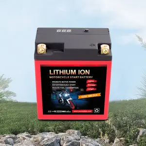 Tùy chỉnh mạnh mẽ ô tô xe bắt đầu pin sạc cao xả pin lithium 100 Ah 12V 50Ah LiFePO4 chu kỳ sâu Pin