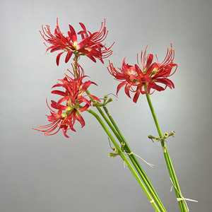 Yopin-2559 Artificielle <span class=keywords><strong>Higanbana</strong></span> <span class=keywords><strong>Fleur</strong></span> Décor À La Maison Soie Rouge Araignée Lys - Product Image 3