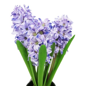 Planta de Jacinto Artificial Púrpura, Precisa en su Aspecto Botánico, Siempre en Flor, Sin Mantenimiento, Centro de Mesa - Product Image 3