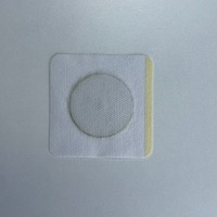 Patchs Amincissants aux Herbes Ermi Drainage Lymphatique pour Brûler la Graisse Abdominale Hypoallergéniques Certifiés CE Durée de Conservation de 2 Ans Soin Corporel