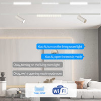 Système d'éclairage sur rail encastré moderne en aluminium blanc TmallGenie 48V, spot linéaire LED magnétique orientable