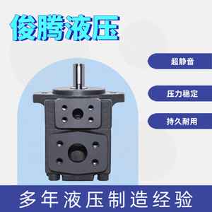 Pompe à huile hydraulique Jun Teng Vane Pump haute pression pour machines - Product Image 3