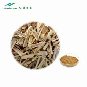 Factory Supply Eurycomanone Tongkat Ali Root Powder Extract 100:1 200:1 For Men