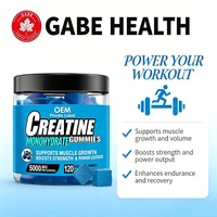 Gummies de créatine monohydrate végétaliennes sans sucre, saveur myrtille, marque privée ODM/OEM, pour la croissance et la force musculaire des adultes