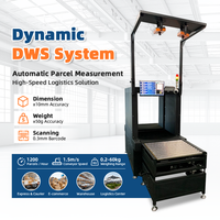 Système logistique DWS dynamique personnalisé, compatible avec la pesée dimensionnelle, prenant en charge diverses tailles de colis, de petites enveloppes à grands cartons