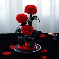 Lovebay Muttertag geschenk Ewige Rose konservierte Blume in Glas 3 Stück echte konservierte Rosen mit Stiel für immer Rosen in Glaskuppel