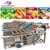 Laveuse à bulles d'air d'occasion économique avec convoyeur pour le traitement des fruits et légumes, en stock