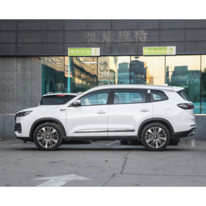 Chery Tiggo 8 PLUS 2024 Champion Edition 290TGDI DCT Haoxiang Edition 5 Places - Product Image 4