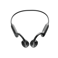 Casque AI BLE5 pour interaction vocale ChatGPT LLM, assistant intelligent et agent de ventes en ligne, écouteurs BLE sans fil