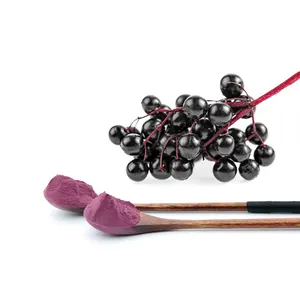 Manufacturer HALAL KOSHER Black Elderberry Fruit Extract Powder Elderberry Gummies Elderberry Extract for Supplements