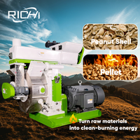 Máquina de Pellets de Cáscara de Cacahuete RICHI - Máquina de Fabricación de Pellets de Cáscara de Palmiste de Malasia de Bajo Consumo Energético