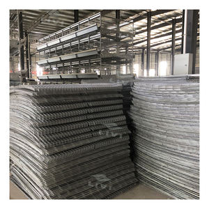 Bé lớp pullet Pin Chick Cage hệ thống cho Nigeria bán với phân vành đai - Product Image 6