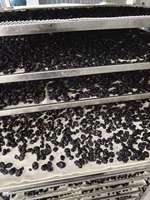 Energiezuinige droogruimte, professionele fruit- en groentedroogapparatuur voor aardbeien, kersen, pompoen en mango.