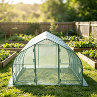 Serre tunnel moderne à toit en pente 10x30 pieds avec structure en acier galvanisé et couverture en PE, robuste pour plantes de jardin