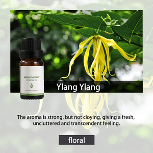 น้ำมันหอมระเหยบริสุทธิ์ 100% OEM/ODM ขนาด 10 มล. กลิ่นลาเวนเดอร์ หอมสดชื่น สำหรับกระจายกลิ่นหอมในอากาศและร่างกาย - Product Image 1