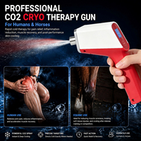 Pistolet de cryothérapie CO2 portable CryoGunSpray -15, le plus récent ℃   Appareil de cryothérapie apaisant pour la peau, pour soulager les rougeurs après traitement